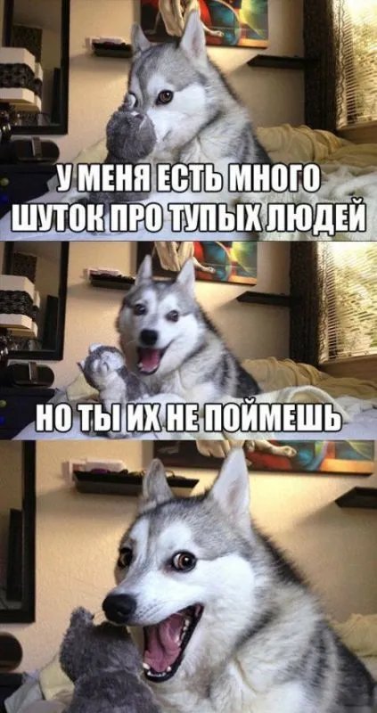 Приколы подоспели Приколы подоспели