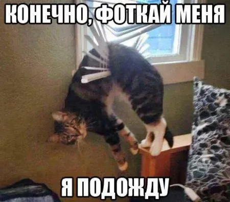 Приколы подоспели Приколы подоспели