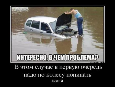 Ваши комменты с картинками Ваши комменты с картинками