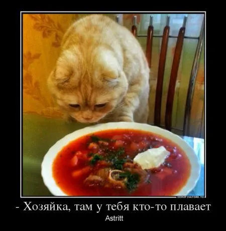 Ваши комменты с картинками Ваши комменты с картинками