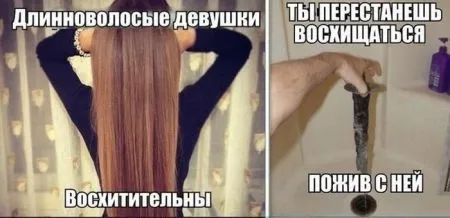 Фото приколы готовы