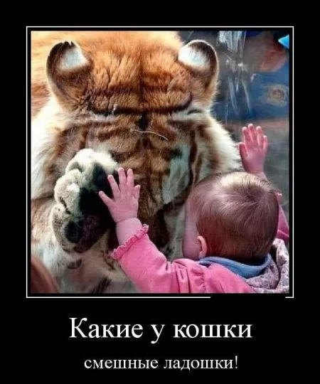 Свежие демотиваторы дня (25 шт)