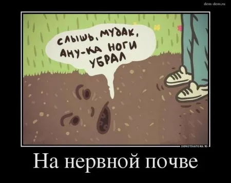 Свежие демотиваторы дня (25 шт)