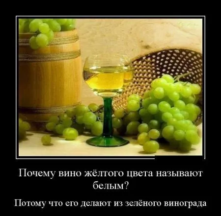 Свежие демотиваторы дня (25 шт)