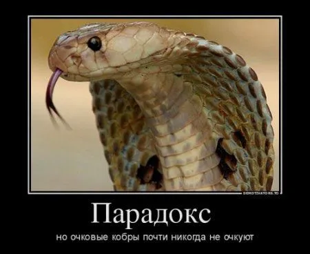 Разные прикольные демотиваторы