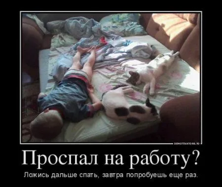 Разные прикольные демотиваторы