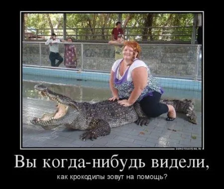 Разные прикольные демотиваторы