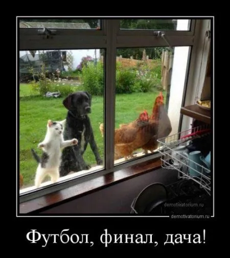 Разные прикольные демотиваторы