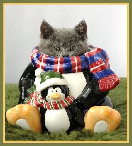 Прикольные фотографии Прикольные фотографии