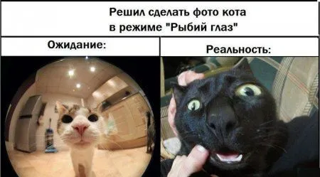 Ожидание VS Реальность!