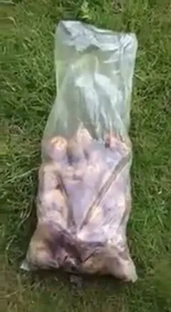 Вот как надо чистить картофель