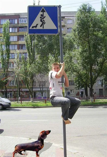 Фотожаба, мальчик на столбе Фотожаба, мальчик на столбе