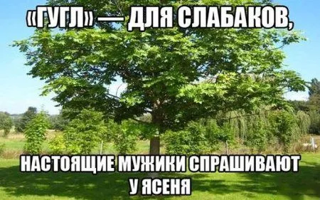 Приколы это твое хорошее настроение