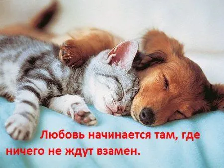Это то,что всегда живёт в сердце...