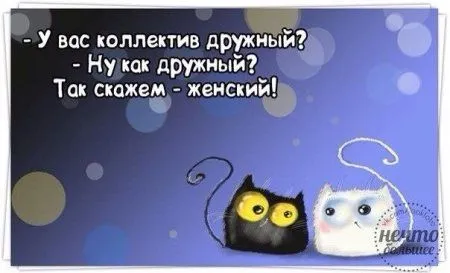 А кто сказал,что в среду улыбаться вредно?))