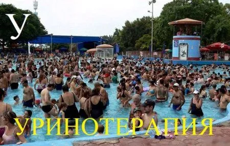 День хороший, приколы хорошие День хороший, приколы хорошие