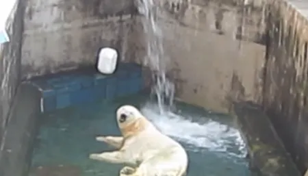 Наконец дали воду