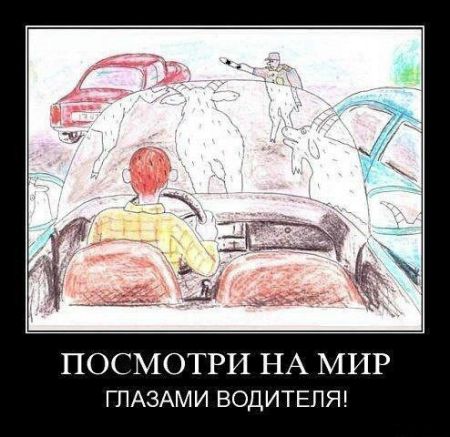 Автоприколы