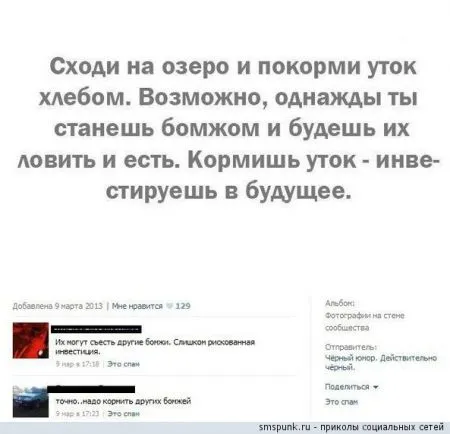 Приколы из "ВКонтакте"