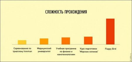 Смешная жизненная инфографика