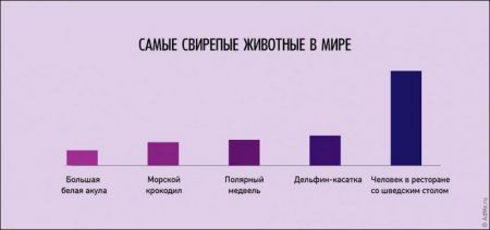 Смешная жизненная инфографика