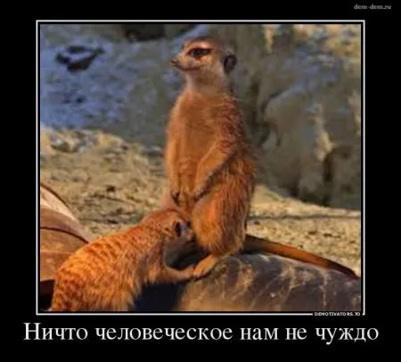 Лучшие демотиваторы дня