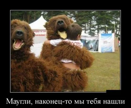 Лучшие демотиваторы дня