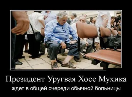 Лучшие демотиваторы дня