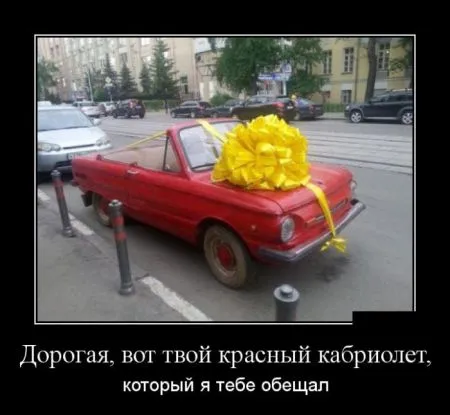 Лучшие демотиваторы дня