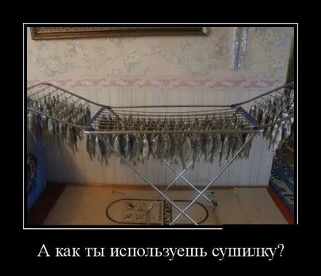 Лучшие демотиваторы дня