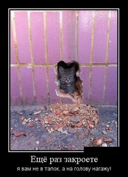 Лучшие демотиваторы дня
