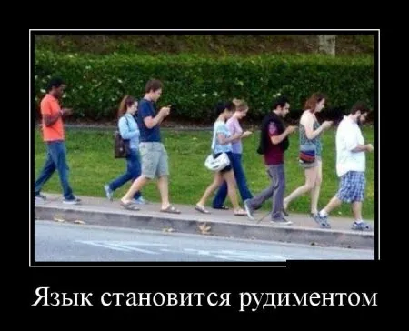 Лучшие демотиваторы дня