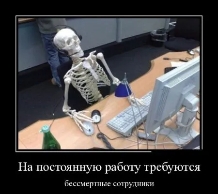 Лучшие демотиваторы дня