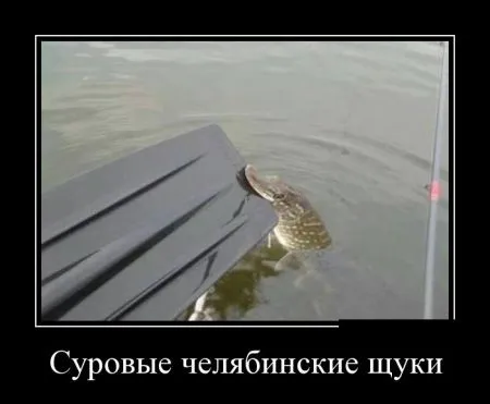 Прикольные демотиваторы, будет весело