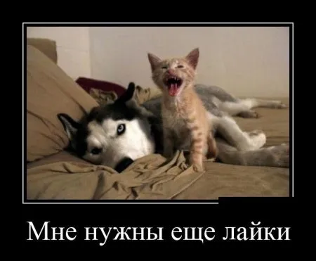 Прикольные демотиваторы, будет весело