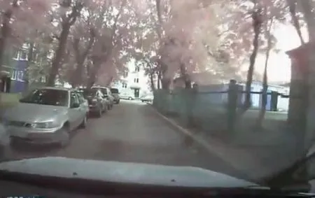 Дай дорогу дураку!