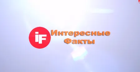 Интересные факты о животных