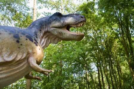 Тираннозавры были динозаврами-террористами