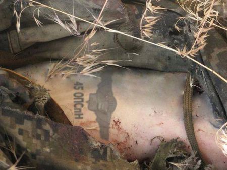 В Украине работает полк российского спецназа ВДВ – спикер АТО