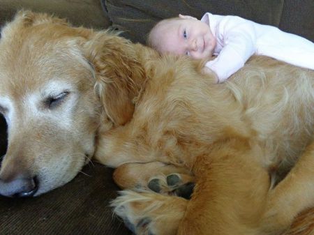 Собаки и дети - лучшие друзья
