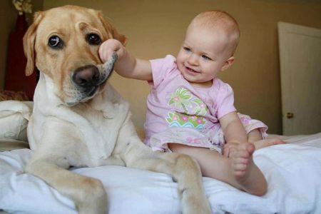 Собаки и дети - лучшие друзья