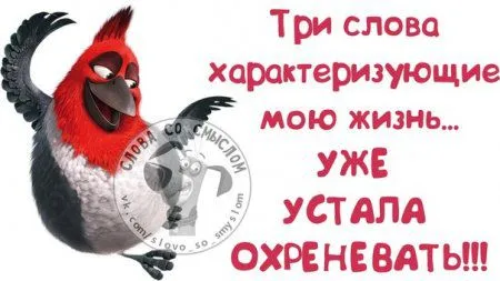 Забавные фразы, прикольные картинки