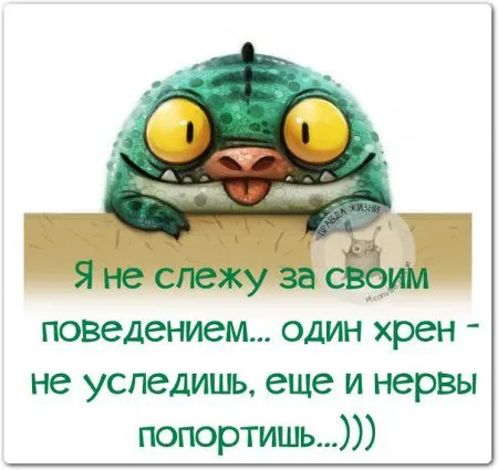 Юмор(и не только) в картинках