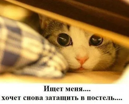 Картинки для позитивного настроения