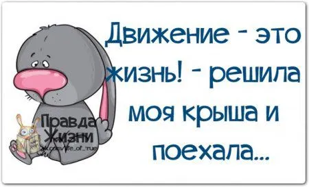 Весёлые "правдивости" Весёлые "правдивости"