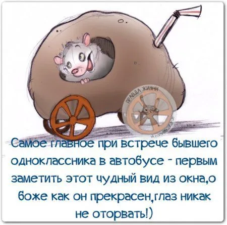 Весёлые "правдивости" Весёлые "правдивости"