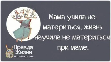 Весёлые "правдивости" Весёлые "правдивости"