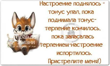 Весёлые "правдивости" Весёлые "правдивости"
