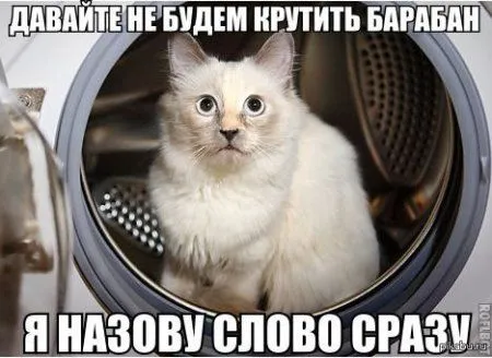 Фото приколы, чуть не забыл