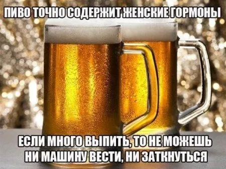 Фото приколы и все так как надо